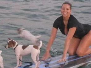 娱乐吃瓜君小狗